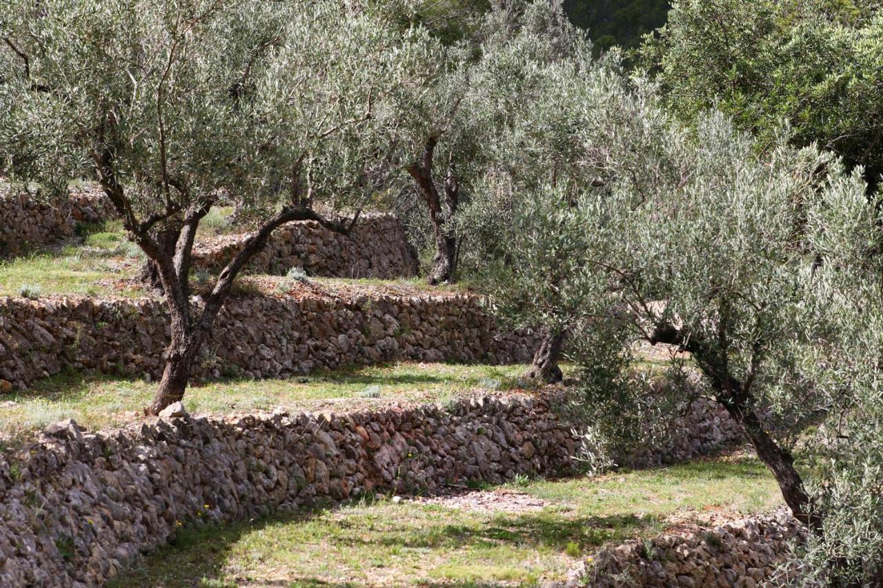 Villa Foia Vella - Adults Only Benigembla Екстер'єр фото